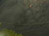 20241004222726-G0016232.JPG