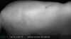 20241004222826-DSCF0005.JPG
