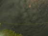 20241004222830-G0016237.JPG