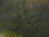 20241004222909-G0016240.JPG