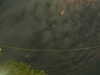 20241004222921-G0016241.JPG