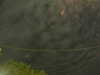 20241004222934-G0016242.JPG