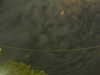 20241004223000-G0016244.JPG