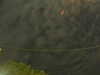 20241004223027-G0016246.JPG