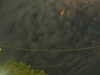 20241004223132-G0016251.JPG