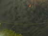 20241004223146-G0016252.JPG