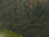 20241004223213-G0016254.JPG