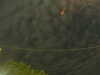 20241004223226-G0016255.JPG