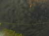 20241004223254-G0016257.JPG
