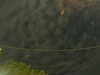 20241004223307-G0016258.JPG