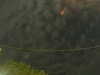 20241004223335-G0016260.JPG