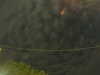 20241004223348-G0016261.JPG