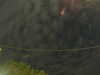 20241004223402-G0016262.JPG