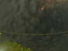 20241004223458-G0016266.JPG