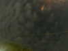 20241004223610-G0016271.JPG