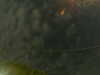 20241004223709-G0016275.JPG