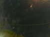 20241004224228-G0016296.JPG