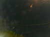 20241004224314-G0016299.JPG