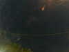 20241004224430-G0016304.JPG