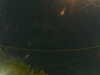 20241004224648-G0016313.JPG