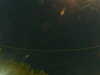20241004224905-G0016322.JPG