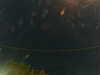 20241004225512-G0016346.JPG