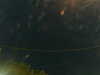 20241004225543-G0016348.JPG