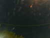 20241004225558-G0016349.JPG