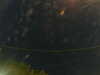20241004225846-G0016360.JPG