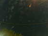 20241004225932-G0016363.JPG