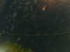 20241004230033-G0016367.JPG