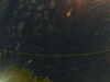 20241004230104-G0016369.JPG