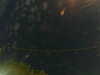 20241004230134-G0016371.JPG