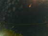 20241004230423-G0016382.JPG
