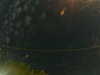 20241004230438-G0016383.JPG