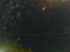 20241004230453-G0016384.JPG