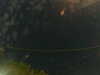 20241004230741-G0016395.JPG