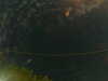 20241004231044-G0016407.JPG