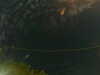 20241004231115-G0016409.JPG
