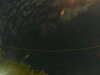 20241004231247-G0016415.JPG