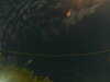 20241004231317-G0016417.JPG