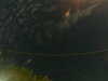 20241004231403-G0016420.JPG