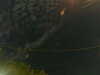 20241004232212-G0016452.JPG