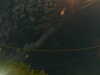 20241004232227-G0016453.JPG