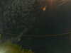 20241004232501-G0016463.JPG