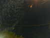 20241004232516-G0016464.JPG