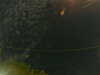 20241004232531-G0016465.JPG