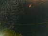 20241004232648-G0016470.JPG