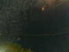 20241004232835-G0016477.JPG