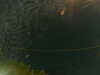 20241004233007-G0016483.JPG